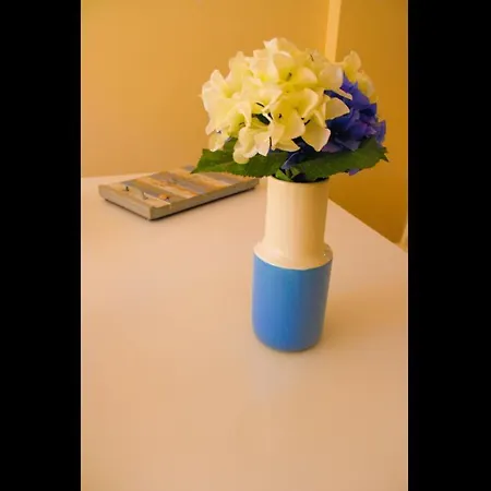 Beautiful Flat Close To The Beaches