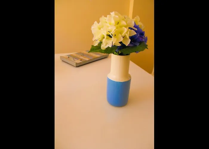 Beautiful Flat Close To The Beaches